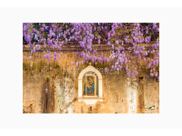 oltrarno atmospheres photo tour by andrea bonfanti ph.