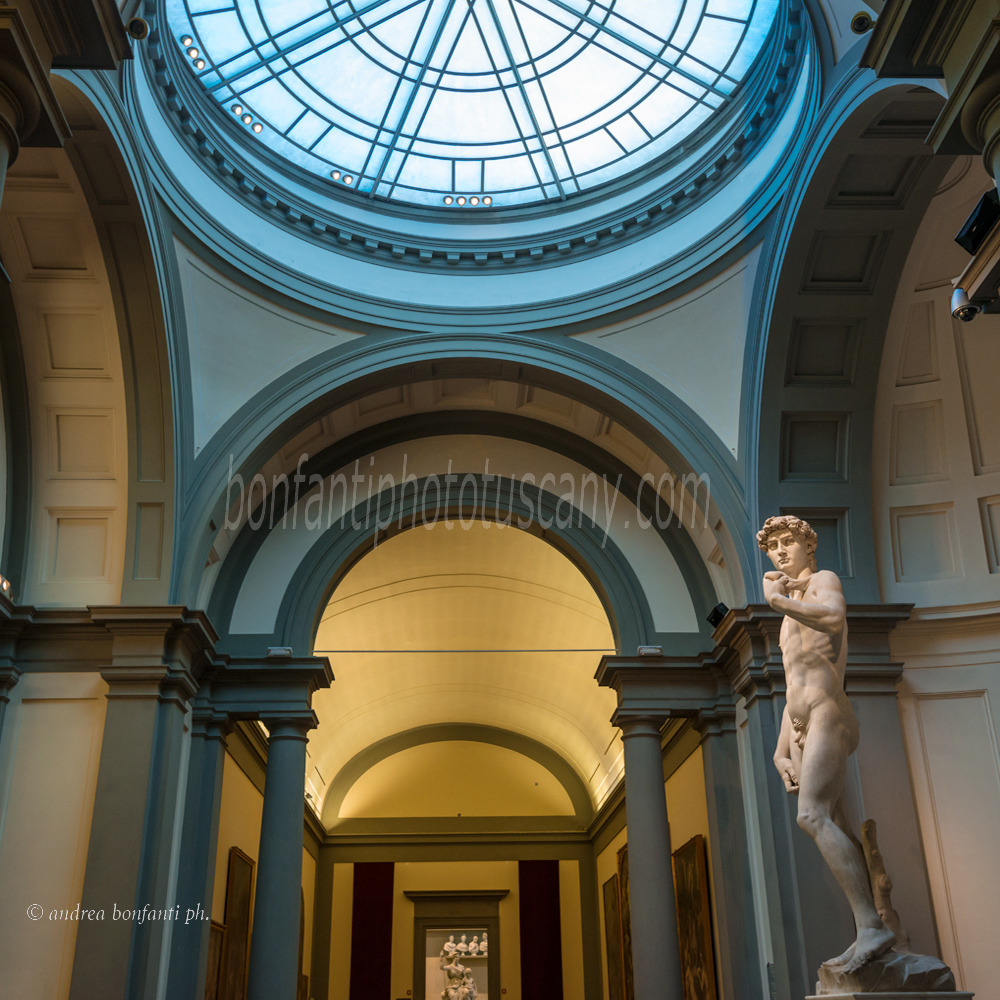 andrea bonfanti ph © David Michelangelo Galleria dell'Accademia