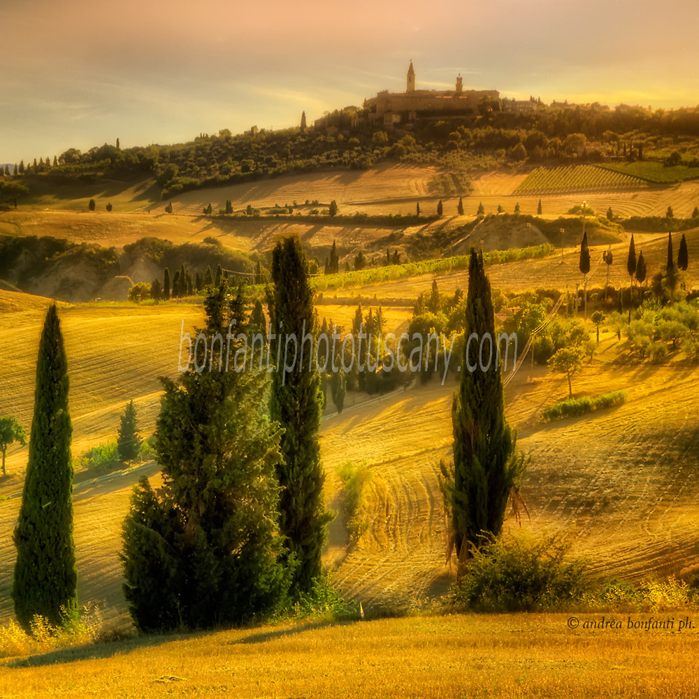 Andrea Bonfanti Photographer © Pienza panorama (Sienne) Toscane