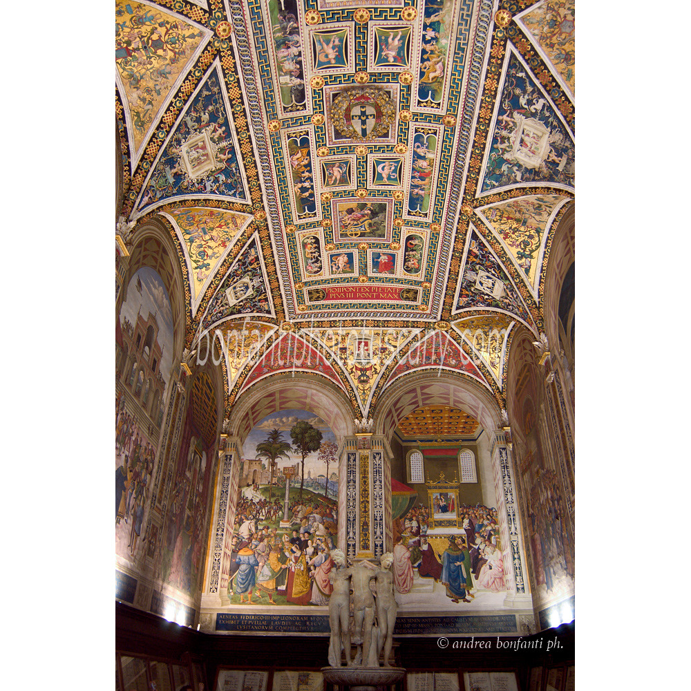 andrea bonfanti ph © Libreria Piccolomini