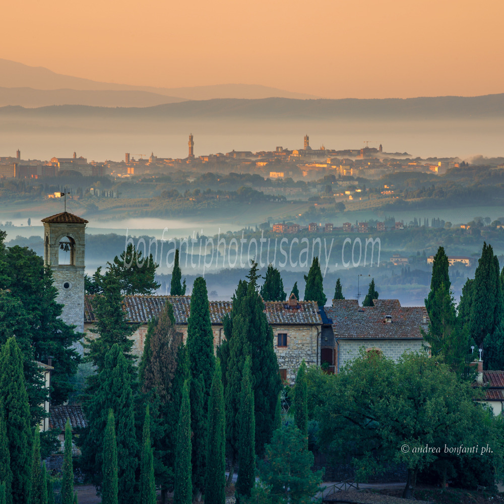 Andrea Bonfanti Photographer © Fonterutoli (Siena) Tuscany