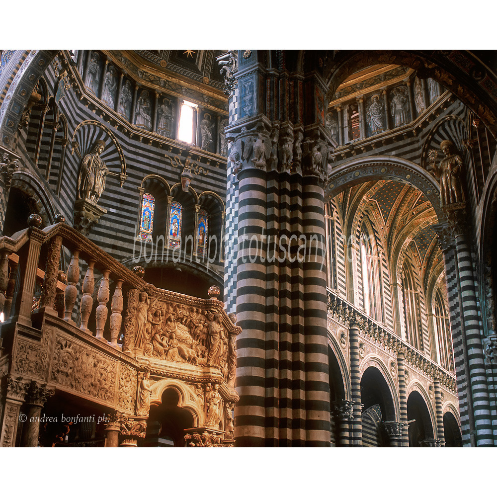 andrea bonfanti ph © interno Duomo Siena