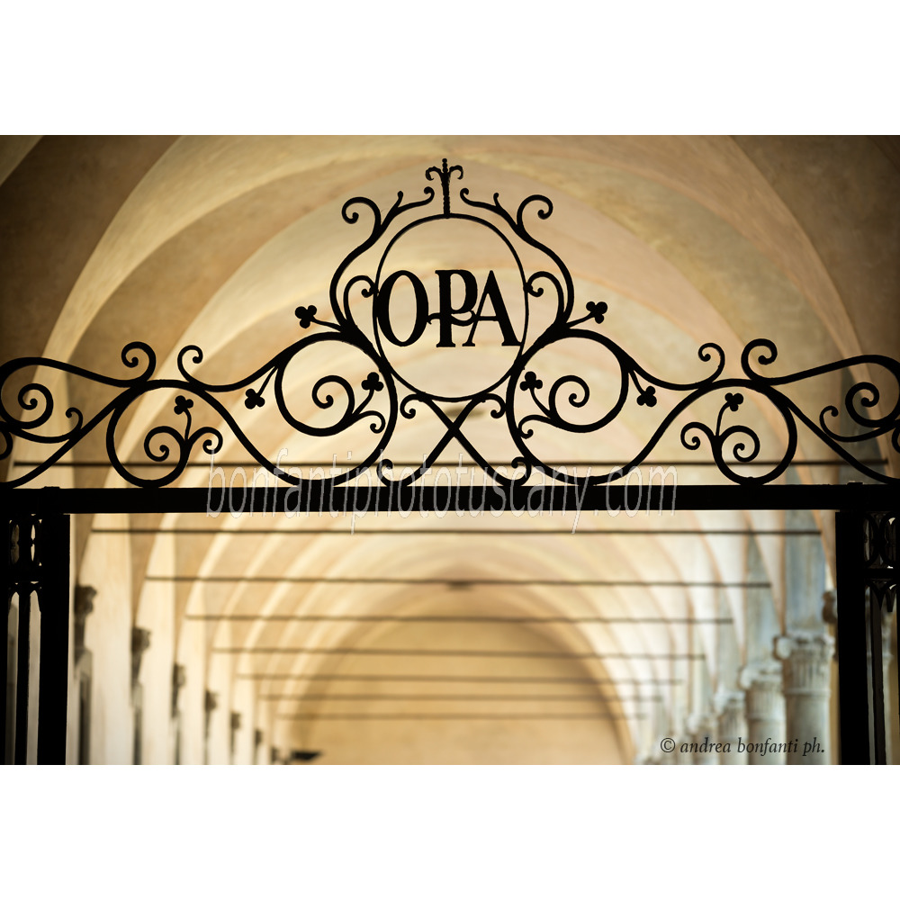 andrea bonfanti ph © chiostro di Santa Croce Firenze