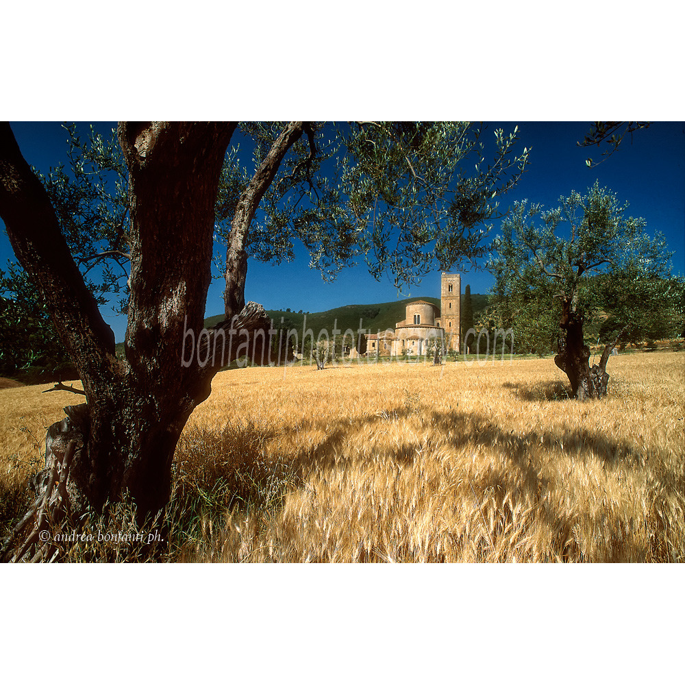 andrea bonfanti ph © estate all'abbazia di Sant'Antimo (Siena)