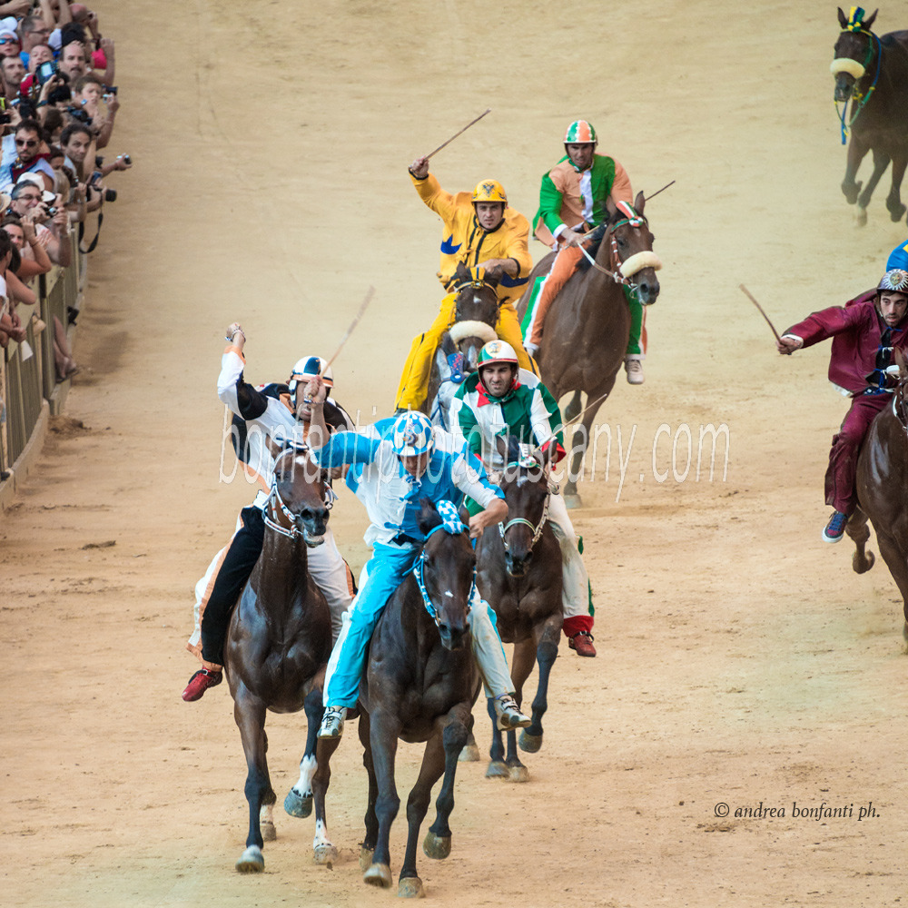 andrea bonfanti ph © la corsa del palio di Siena