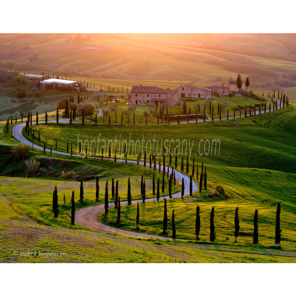 andrea bonfanti ph © Crete senesi, tramonto a Chiusure (Siena)