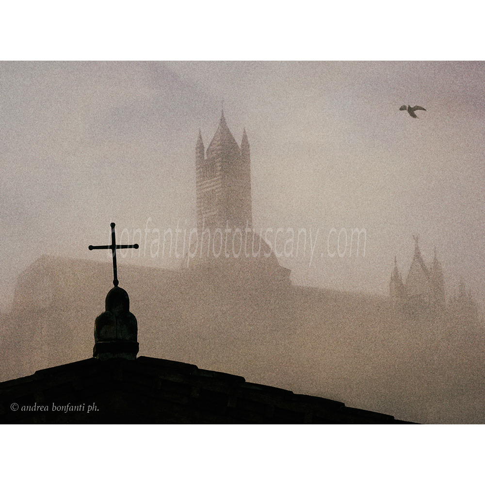 andrea bonfanti ph © Duomo di Siena da Santa Caterina