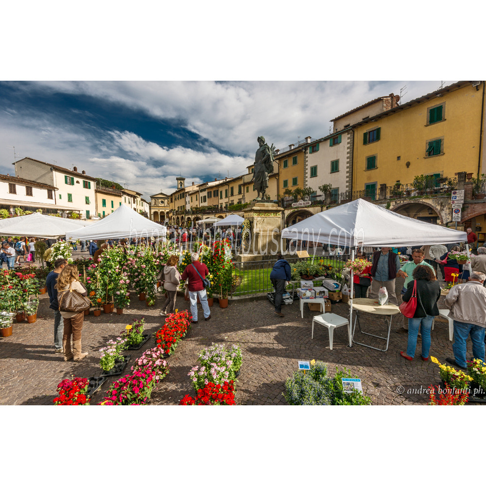 Andrea Bonfanti Photographer © Greve in Chianti (Firenze) Tuscany