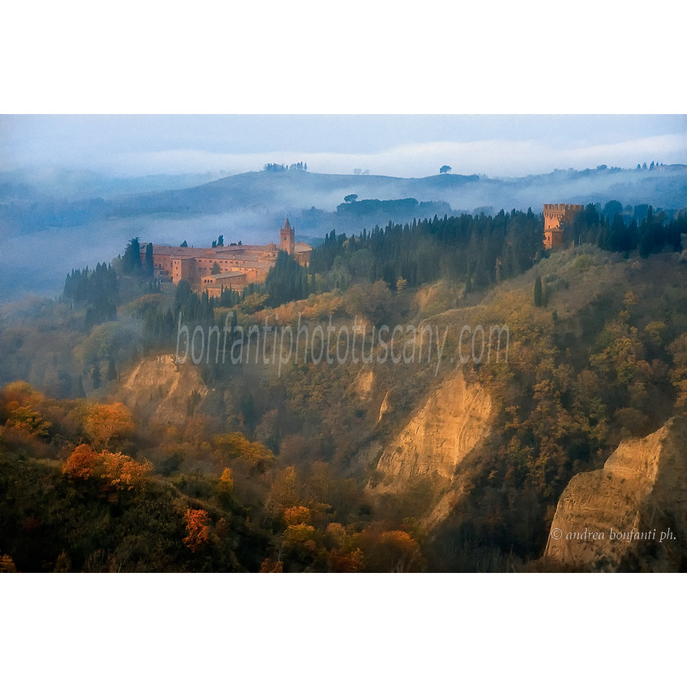 Andrea Bonfanti Photographer © Monte Oliveto (Siena) Tuscany