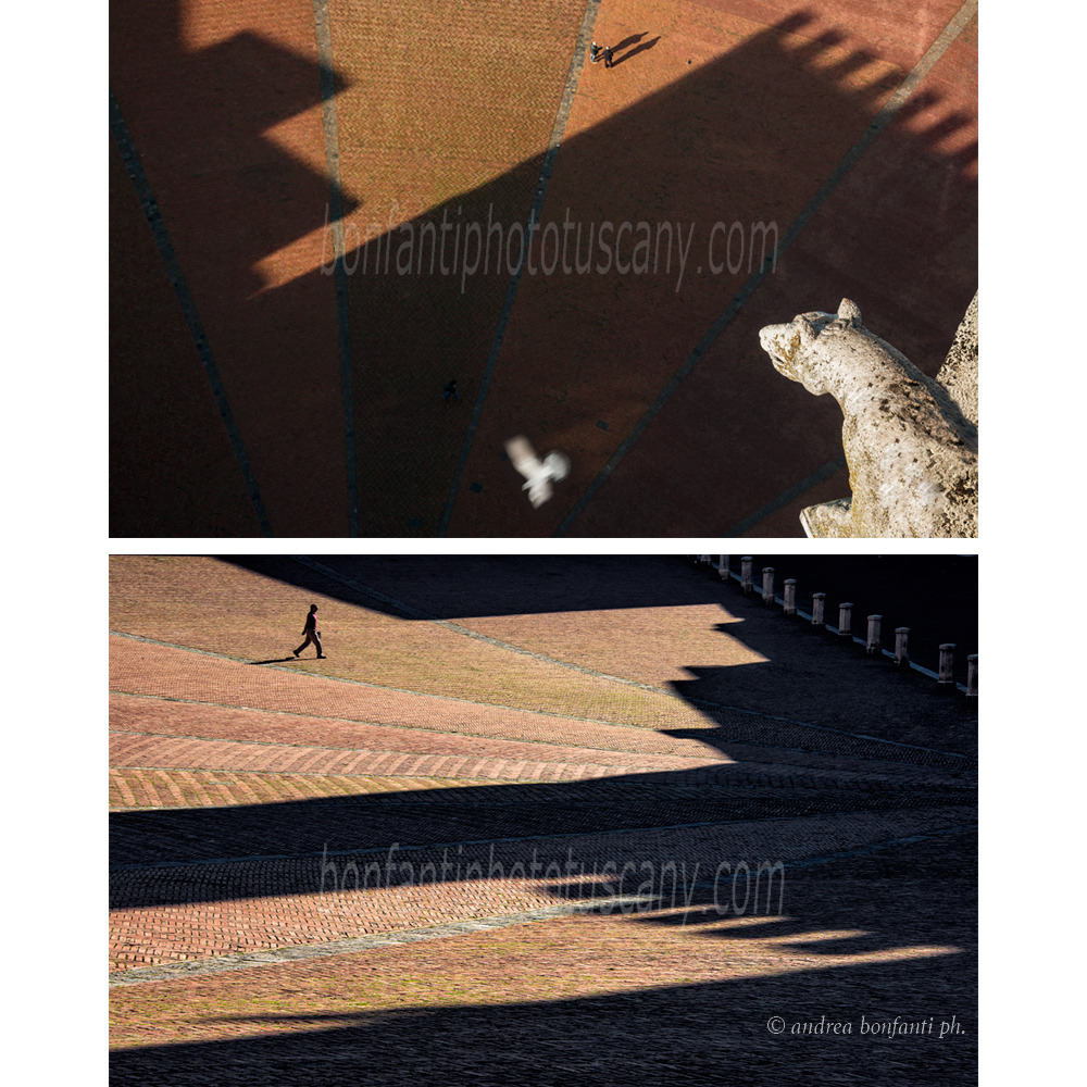andrea bonfanti ph © ombre mattutine in piazza del Campo