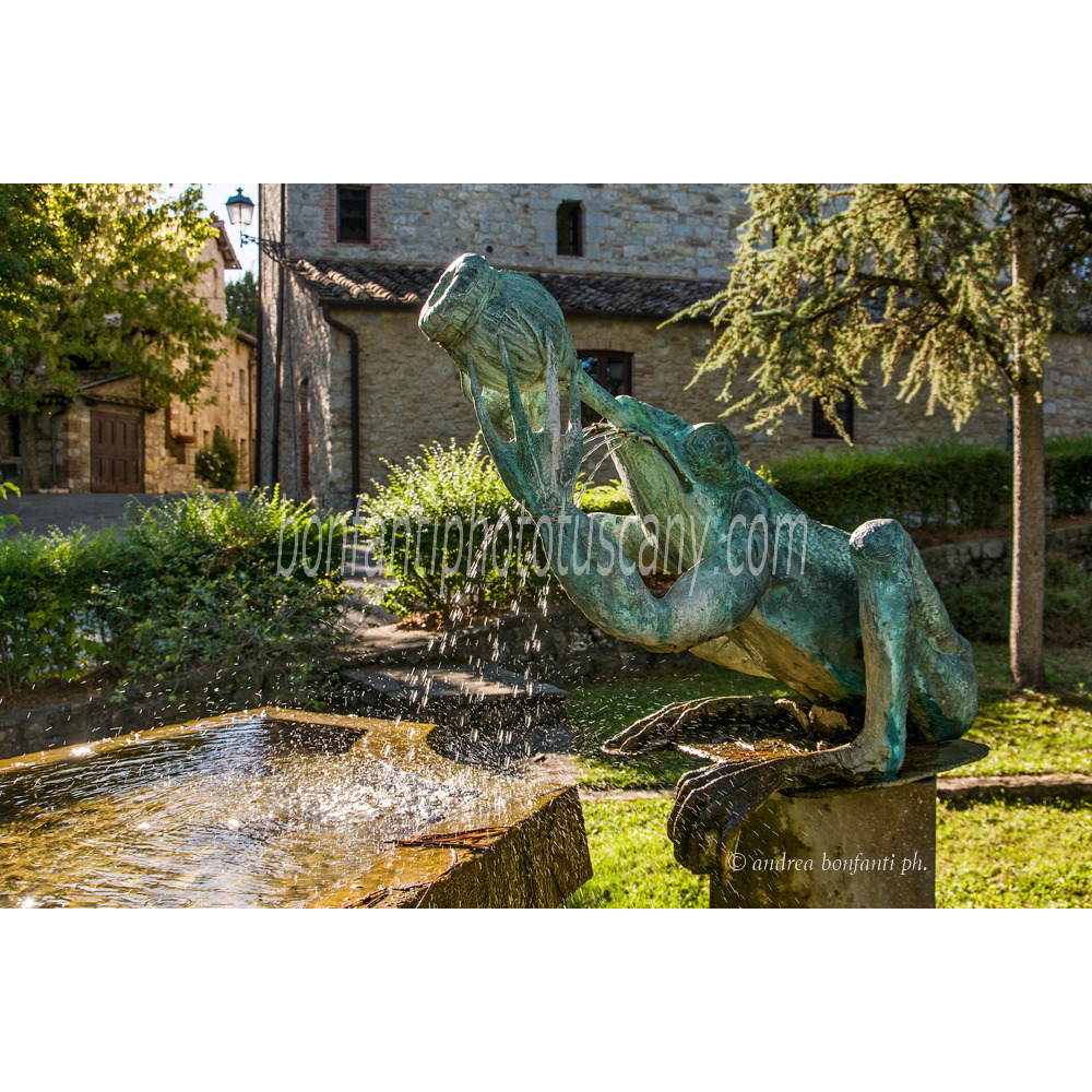 Andrea Bonfanti Photographer © Rana Beona a San Sano (Siena) Tuscany