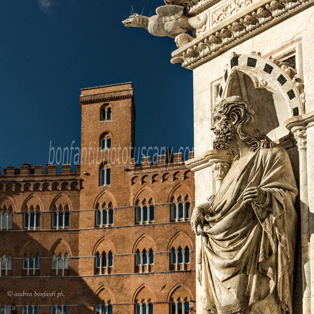 andrea bonfanti ph © scorcio di piazza del Campo