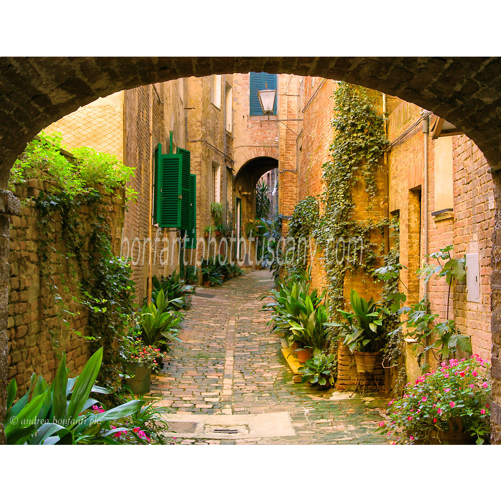 andrea bonfanti ph © vicolo degli Orefici Siena
