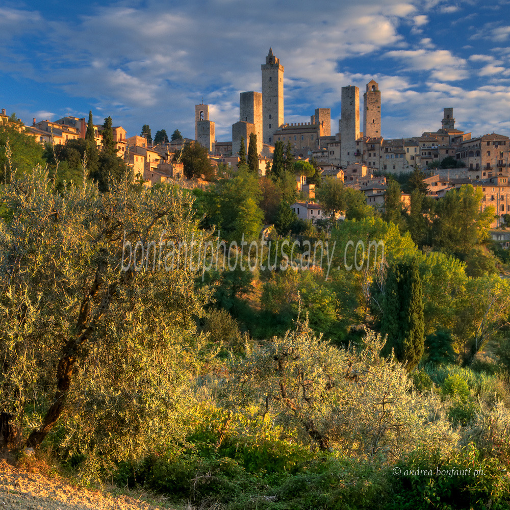 andrea bonfanti ph © torri San Gimignano di primo mattino andrea bonfanti ph © torri San Gimignano di primo mattino