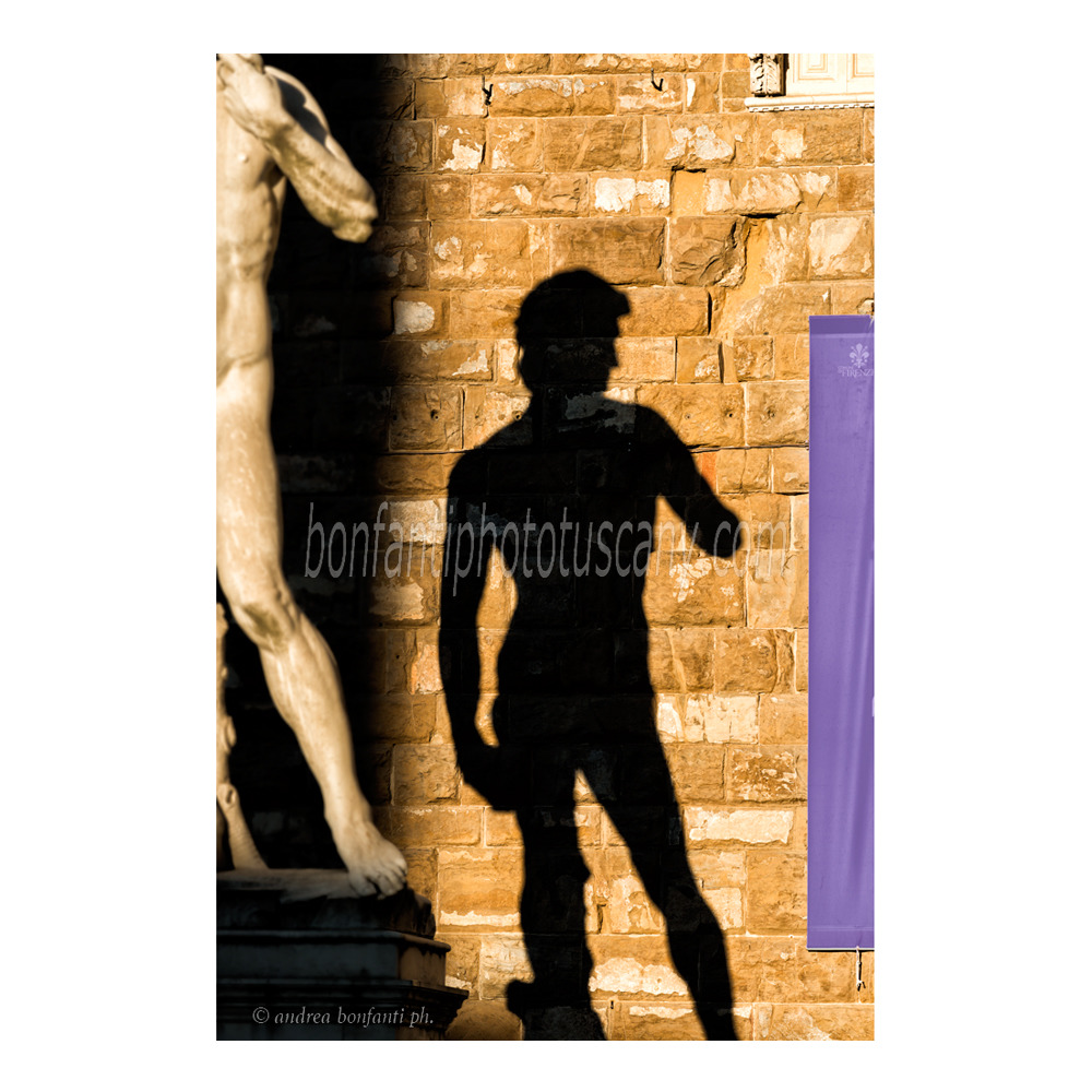 andrea bonfanti ph © David e la sua ombra in piazza Signoria Firenze
