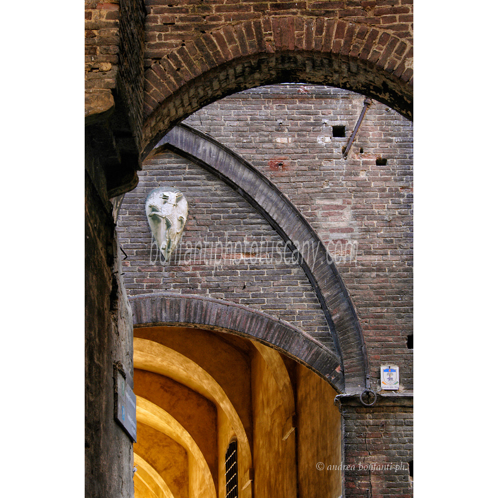 andrea bonfanti ph © arco senese in via della Galluzza