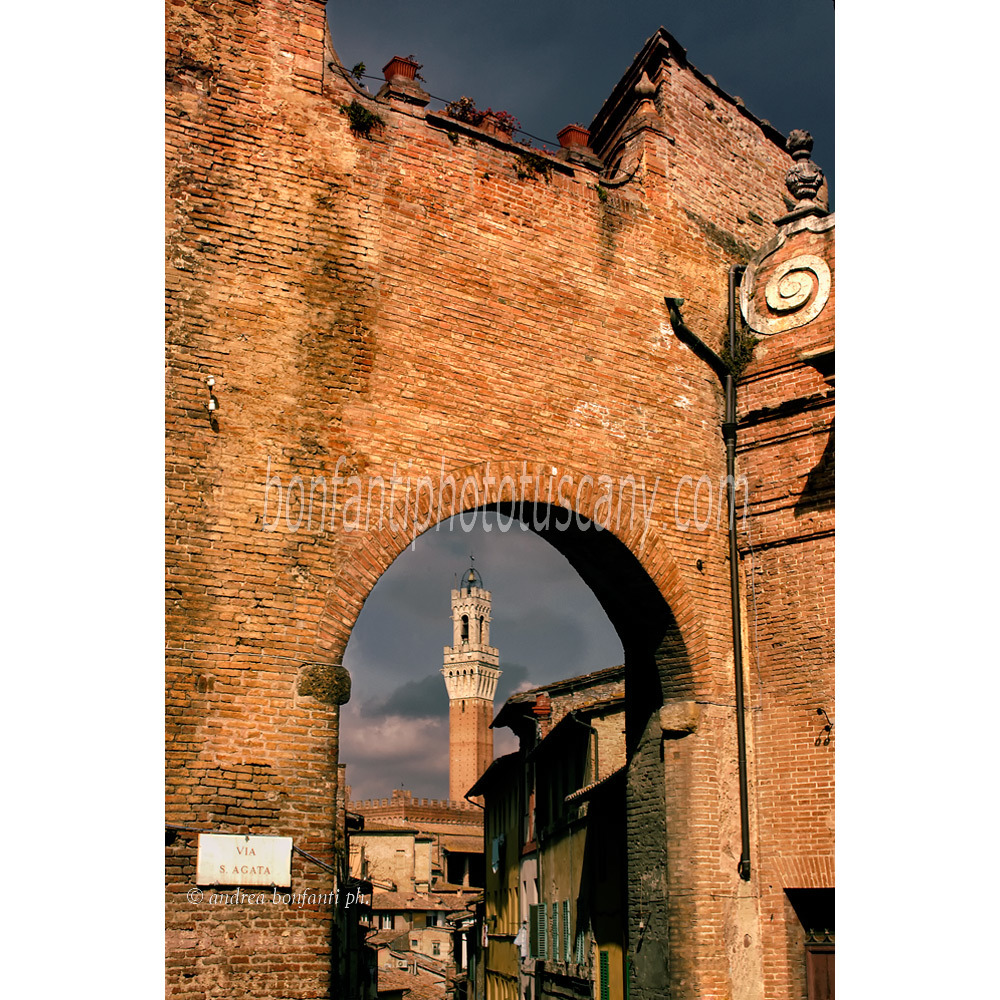 andrea bonfanti ph © arco nella contrada dell'Onda