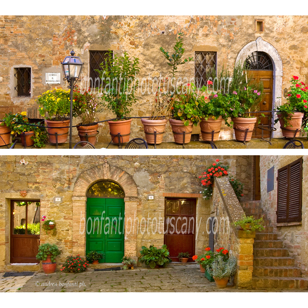 Andrea Bonfanti Photographer © colore di Pienza e Monticchiello (Siena)