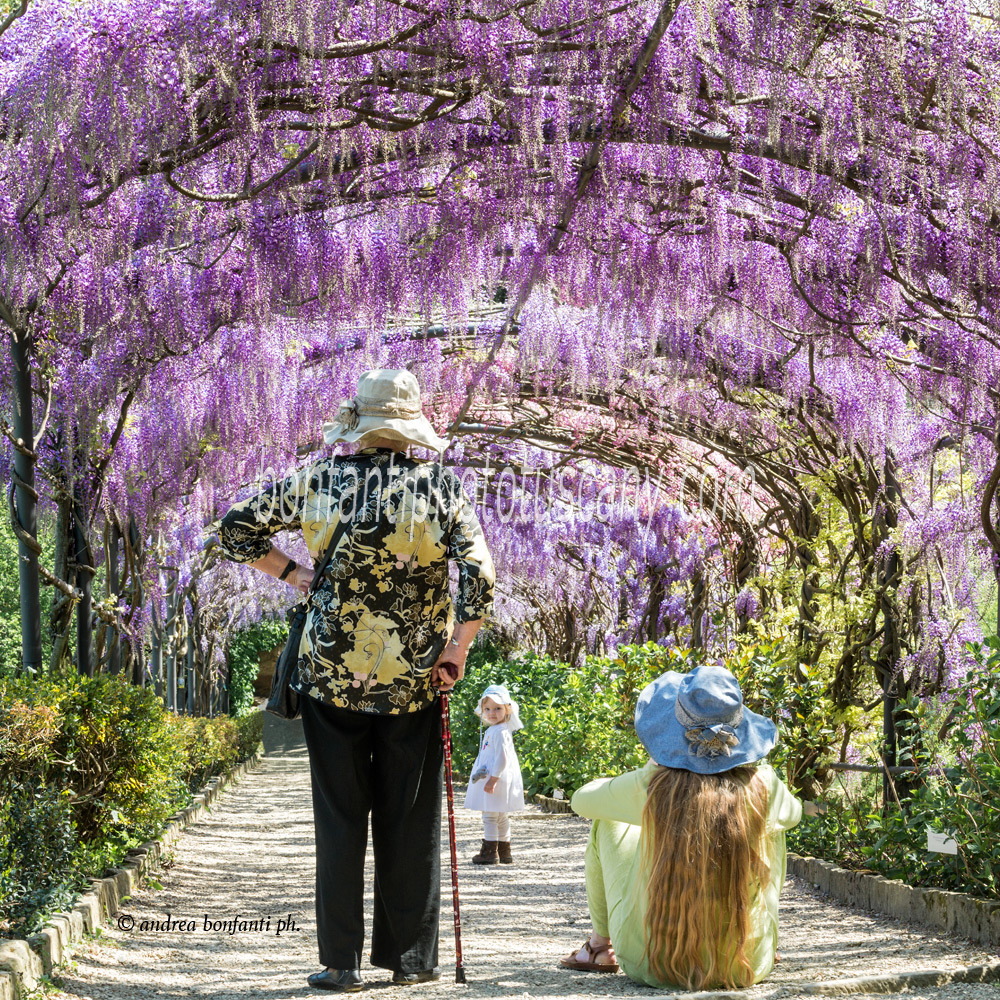 andrea bonfanti ph © giardino Bardini in primavera