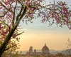 Firenze autentica visita guidata