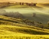 I luoghi dell'armonia nella campagna toscana visita guidata