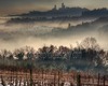 San Gimignano visita guidata