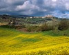 San Gimignano visita guidata