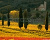 I luoghi dell'armonia nella campagna toscana visita guidata