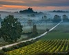 Chianti visita giudata