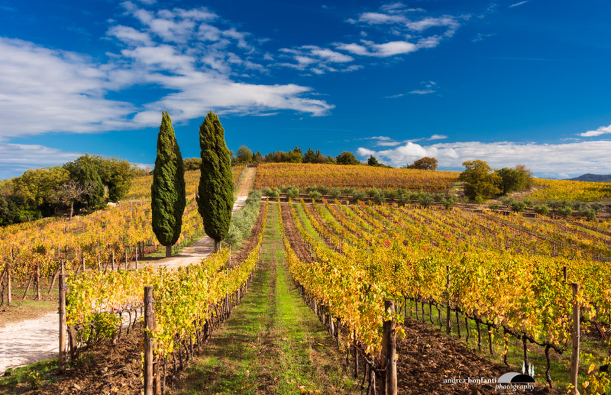 il chianti fiorentino foto tour con andrea bonfanti ph.