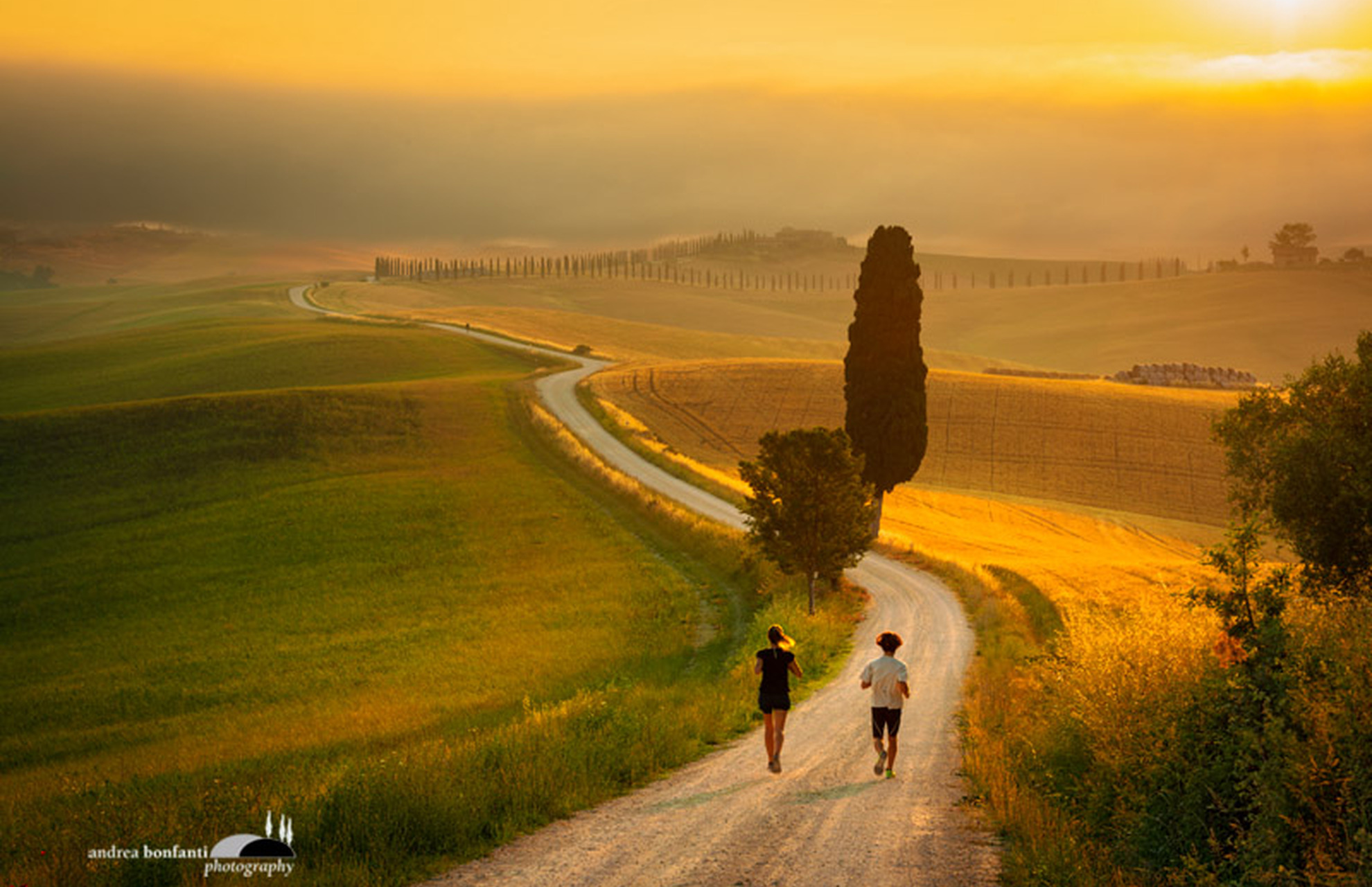 crete senesi alternate take; image intro by andrea bonfanti ph.jpg