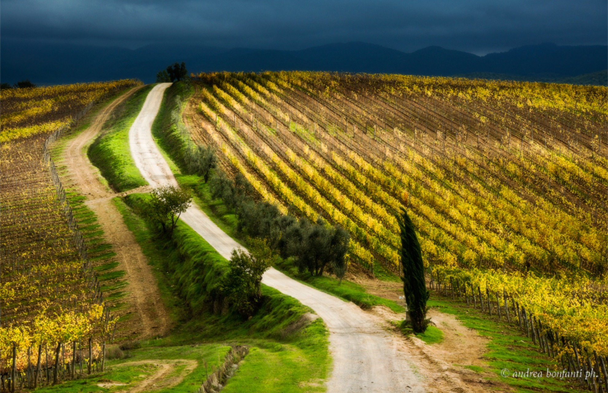 Tuscany Photo Tour vigneti e borghi del Chianti © andrea bonfanti