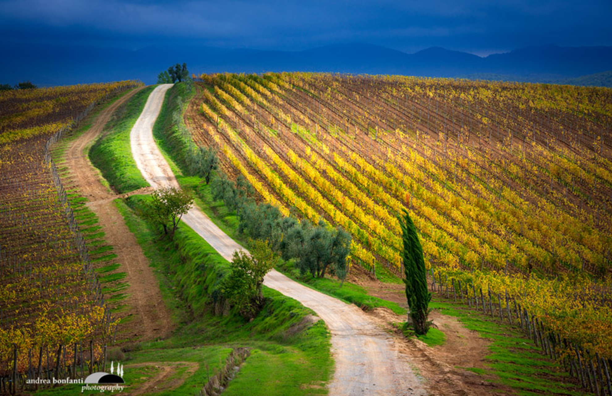 Tuscany Photo Tour vigneti e borghi del Chianti © andrea bonfanti