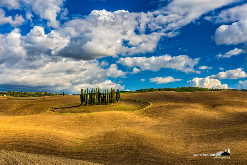 Tuscany Photo Tour : i paesaggi della val d'Orcia © andrea bonfanti