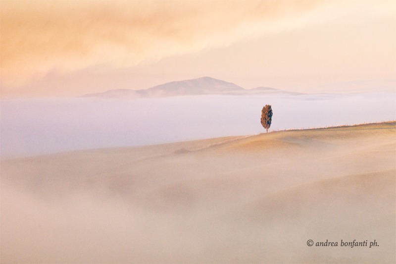 Foto tour in Toscana: i paesaggi delle Crete senesi © andrea bonfanti