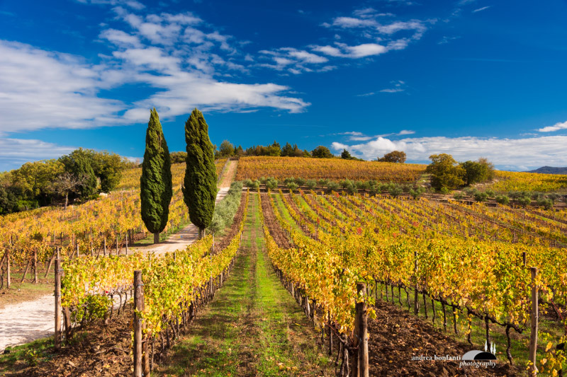 il chianti fiorentino foto tour con andrea bonfanti ph.