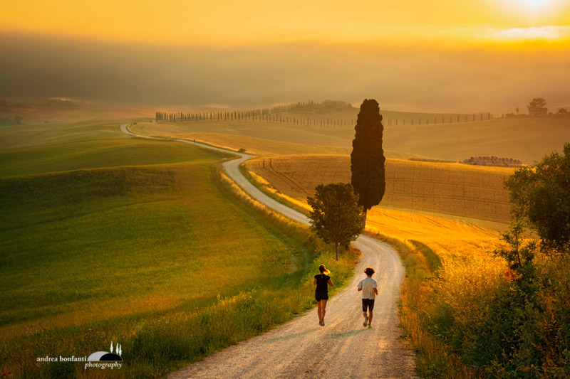 crete senesi alternate take; image intro by andrea bonfanti ph.jpg