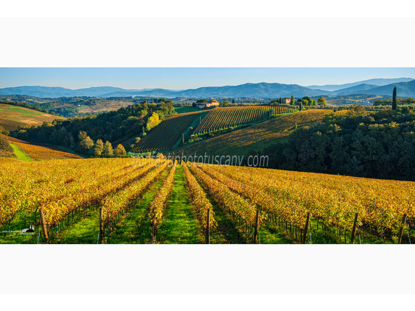 chianti fiorentino photo tour with andrea bonfanti ph.