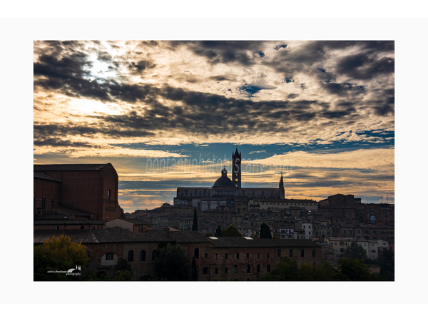 siena photo walking tour with andrea bonfanti