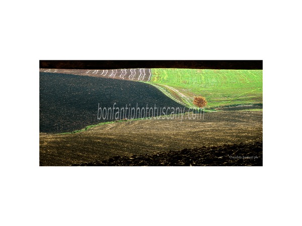 crete senesi landscapes photo tour with andrea bonfanti ph.