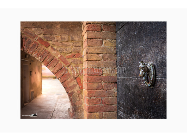 siena photo walking tour with andrea bonfanti