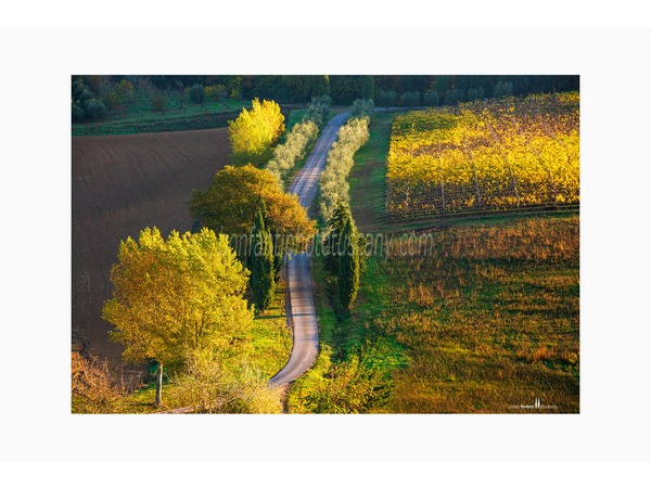 Tuscany Photo Tour Chianti vineyards and villages