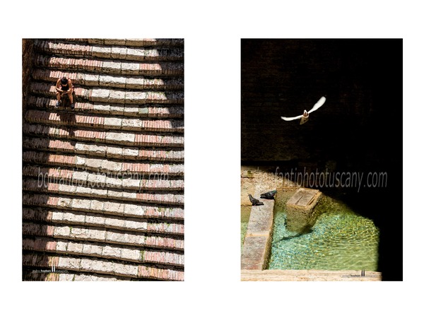 siena photo walk © andrea bonfanti ph.