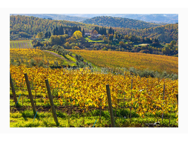 chianti fiorentino photo tour with andrea bonfanti ph.