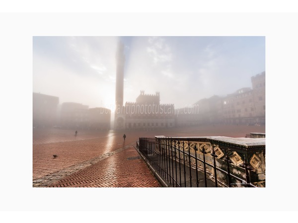 siena photo walk © andrea bonfanti ph.