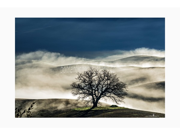 crete senesi landscapes photo tour with andrea bonfanti ph.