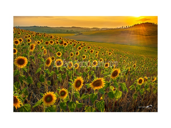 crete senesi landscapes photo tour with andrea bonfanti ph.