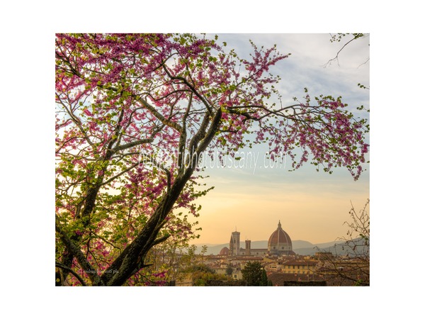 Tuscany Photo Tour The Hills Of Florence