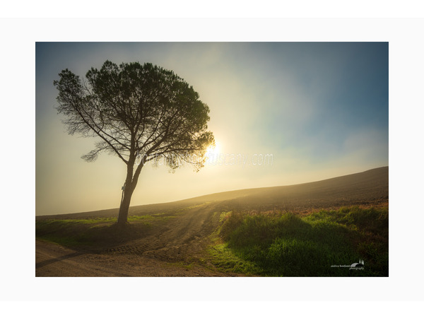 crete senesi alternate take photo tour © andrea bonfanti ph.