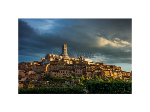 siena photo walk © andrea bonfanti ph.